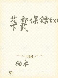 花都保镖txt下载