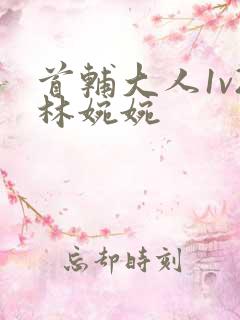 首辅大人1v2林婉婉