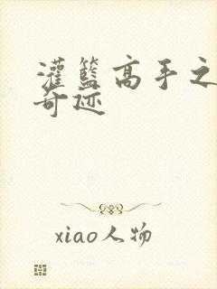 灌篮高手之辉煌奇迹