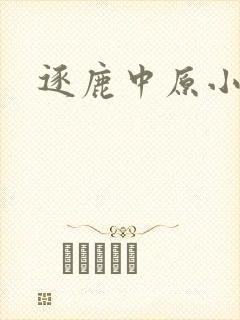 逐鹿中原小说