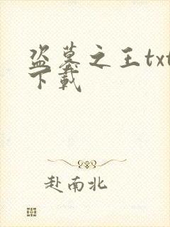 盗墓之王txt下载