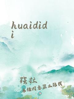 huaididi