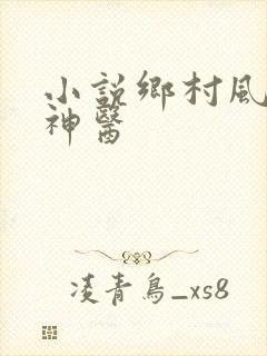 小说乡村风流小神医