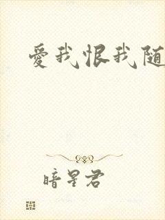 爱我恨我随便你