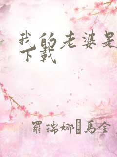 我的老婆是卧底下载