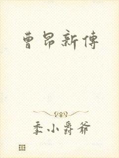 曹昂新传