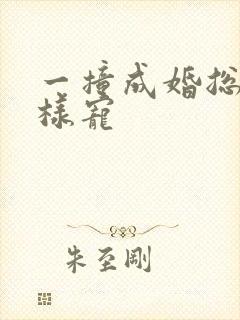 一撞成婚总裁花样宠