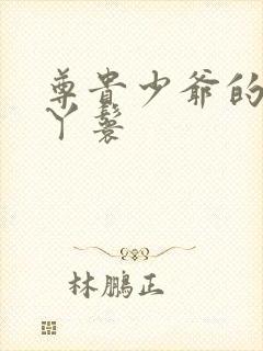 尊贵少爷的大牌丫鬟