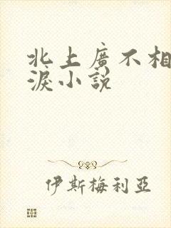 北上广不相信眼泪小说