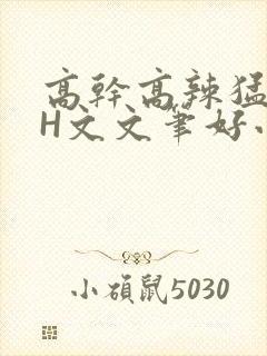 高干高辣猛高辣H文文笔好小说