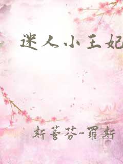 迷人小王妃