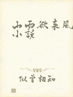 山雨欲来风满楼小说