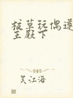 校草玩偶遵命公主殿下