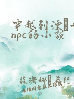 穿越到湮婸世界npc的小说
