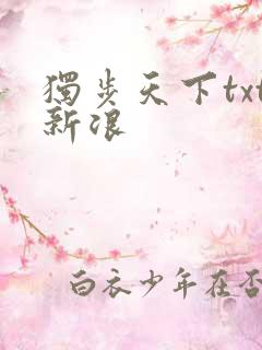 独步天下txt新浪