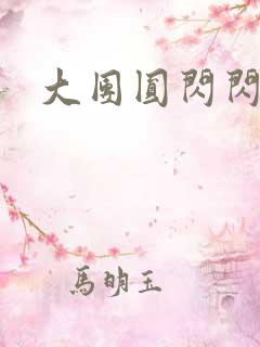 大团圆闪闪发光