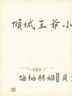 倾城王爷小小妃
