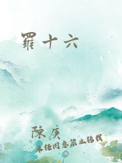 罗十六