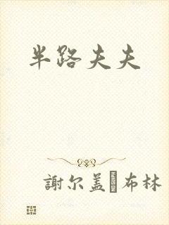 半路夫夫
