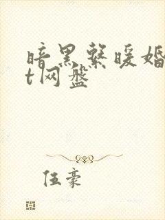 暗黑系暖婚txt网盘