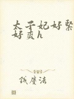 太子妃好紧皇上好爽h