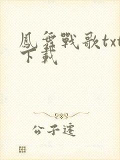凤舞战歌txt下载