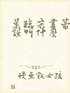 叶临宋书蕾的小说叫什么