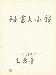 秘书h小说