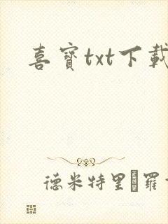 喜宝txt下载