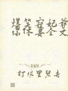 爆笑宠妃爷我等你休妻全文免费阅读