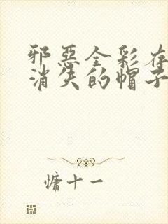 邪恶全彩存在感消失的帽子