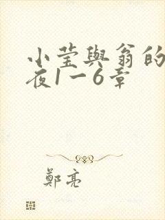 小莹与翁的销魂夜1一6章