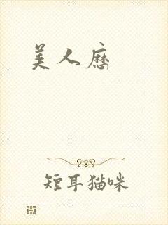 美人历