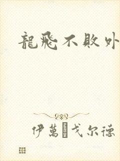 龙飞不败外传