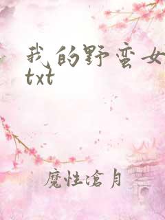 我的野蛮女上司txt