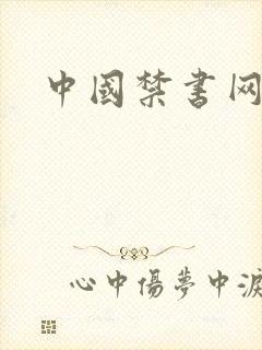 中国禁书网
