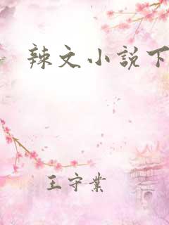 辣文小说下载
