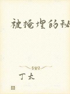 被掩埋的秘密