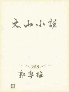 文山小说