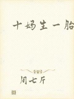 十妈生一胎