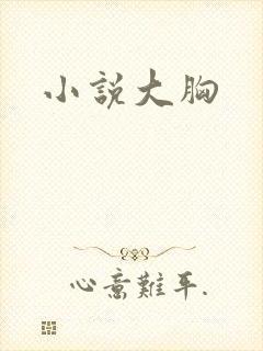 小说大胸