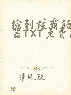 捡到校霸的遥控器TXT免费阅读