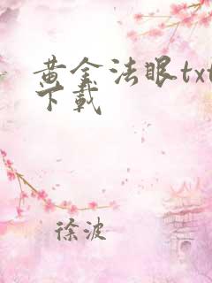 黄金法眼txt下载