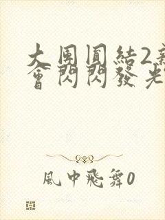 大团圆结2亲情会闪闪发光亲情会2