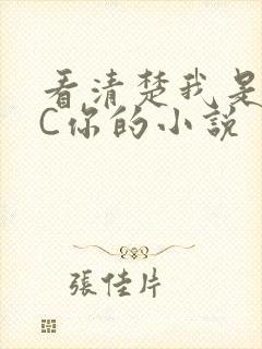 看清楚我是怎么C你的小说