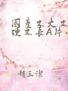 国产又大又粗又硬又长A片小说