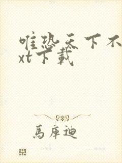 唯恐天下不乱txt下载