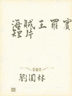 海贼王罗宾被h短片