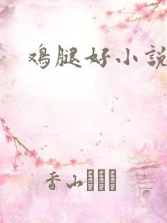 鸡腿好小说网