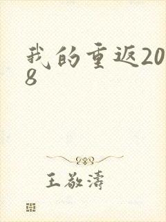 我的重返2008